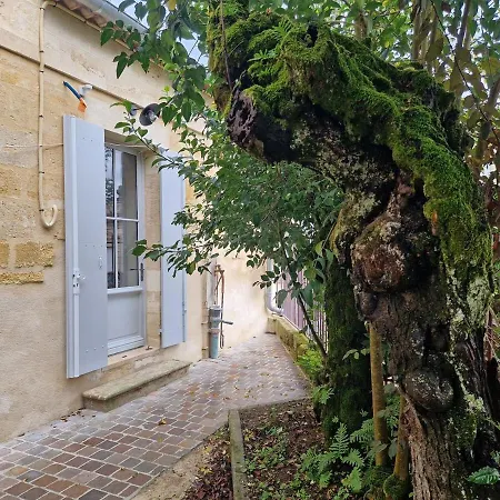 Des Caves De La Tour Du Roy St Emilion Saint-Émilion
